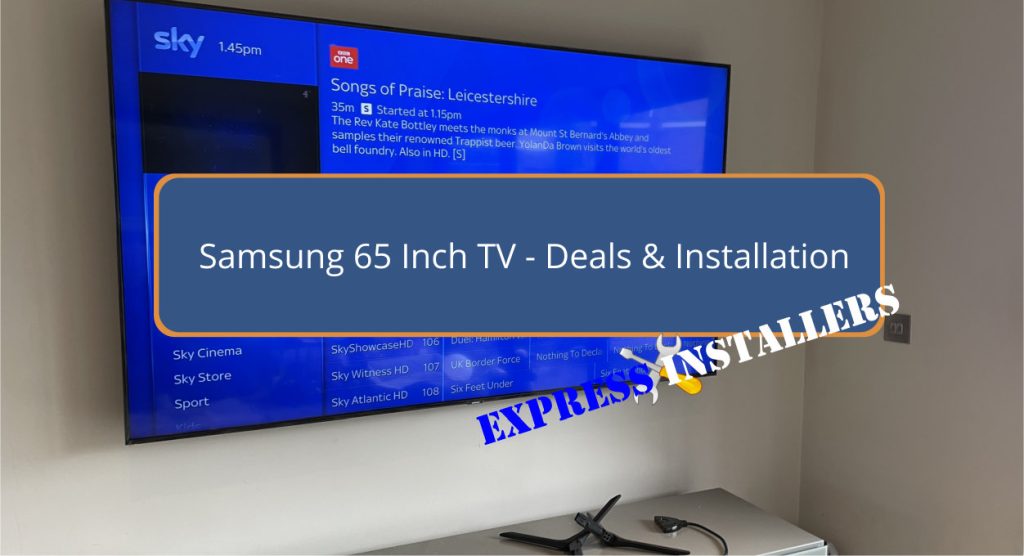 Samsung 65 Inch TV