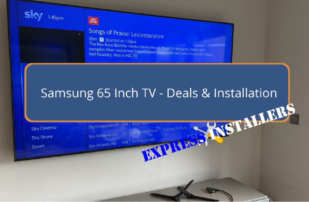 Samsung 65 Inch TV