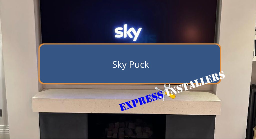 Sky Puck