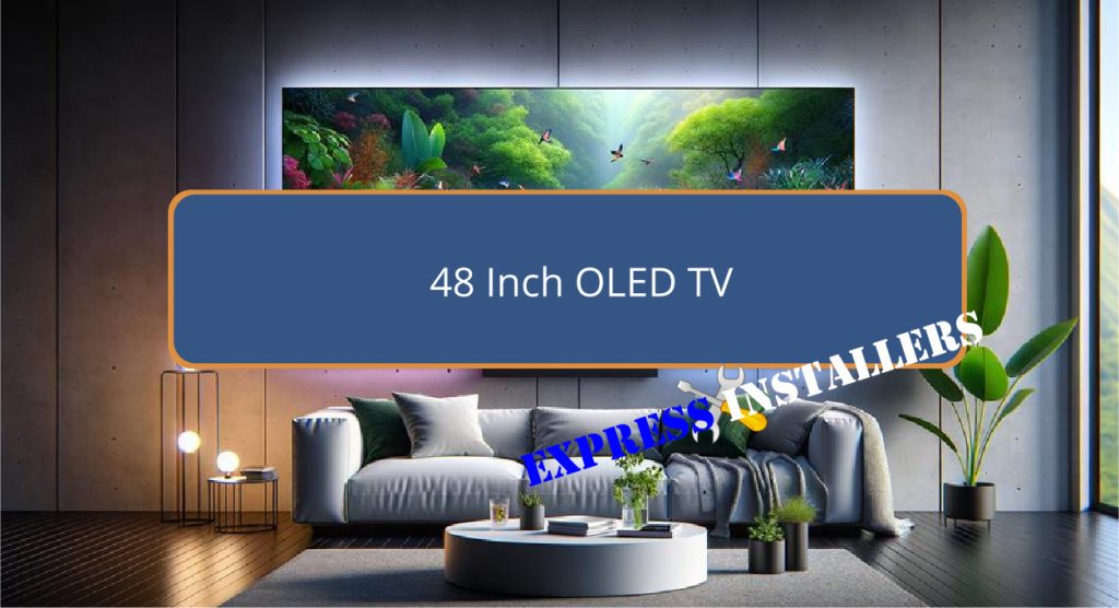 48 Inch OLED TV