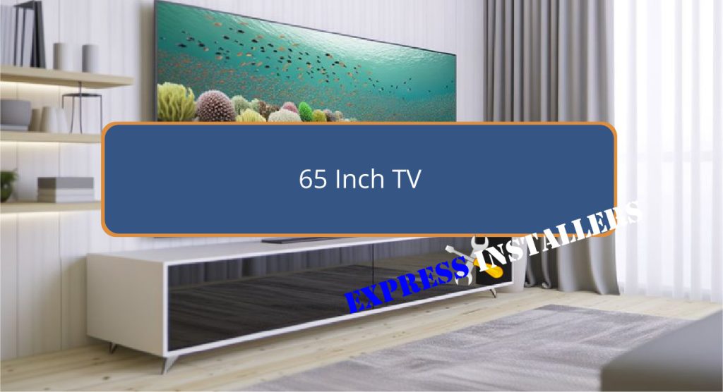 65 Inch TV