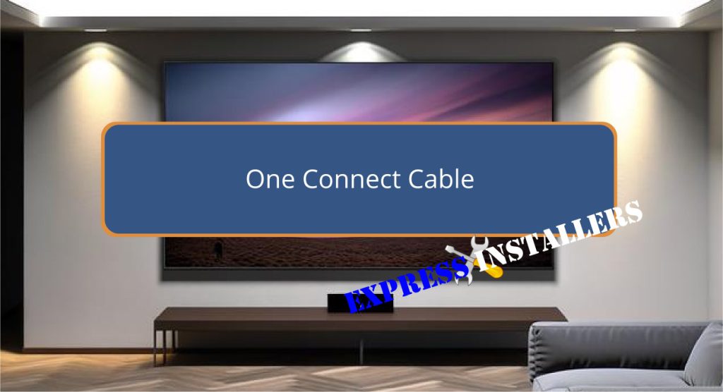 One Connect Cable