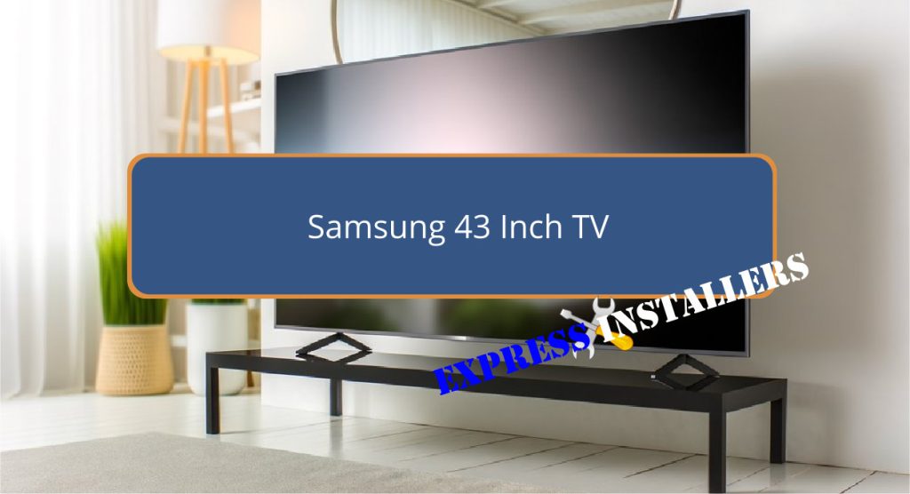 Samsung 43 Inch TV